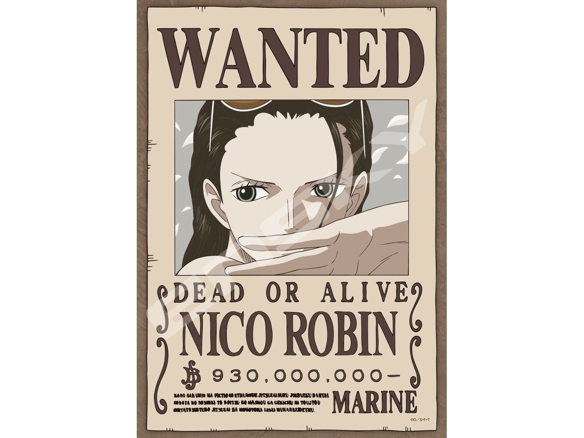 ONE PIECE Archaeologist Devil Child Nico Robin 208pcs (No.208-140 : 180 x 257mm)