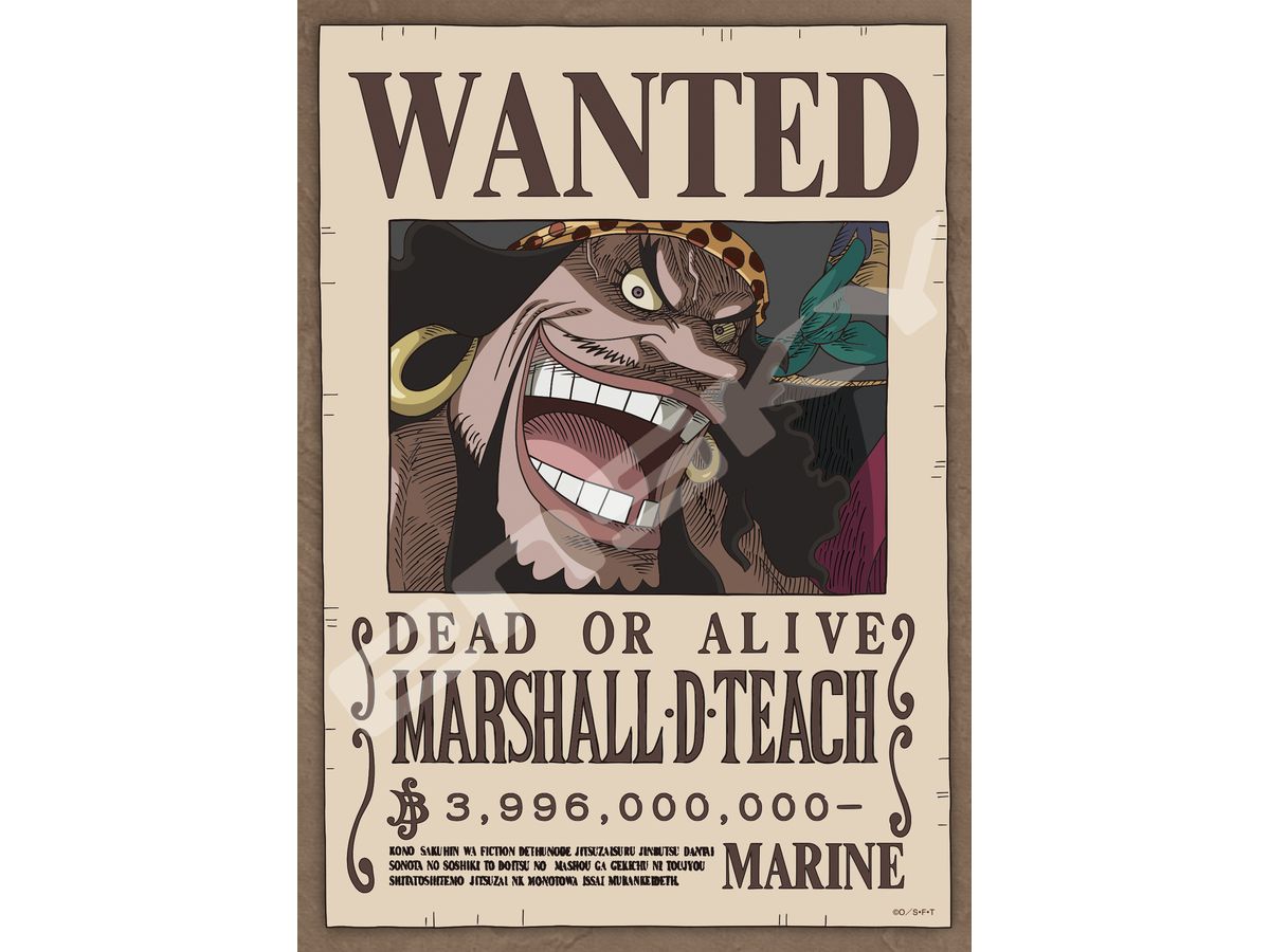 ONE PIECE Four Emperors Blackbeard Teach 208pcs (No.208-149 : 180 x 257mm)