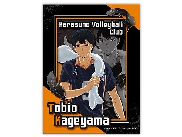Anime Haikyu!!: Paper Shadow Art Mini SA-M08 Tobio Kageyama