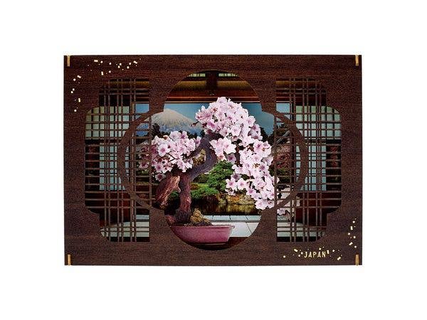 Paper Theater -Wood Style- Premium / Sakura-Takumi- Pt-Wp10