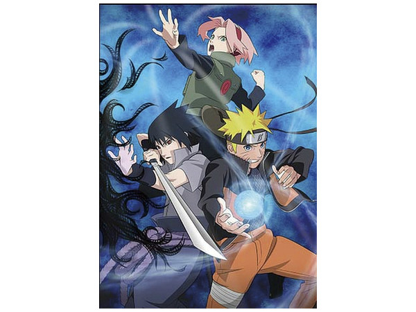 Naruto Shippuden : Calendrier 2015: 9782820317896: Various: Books 