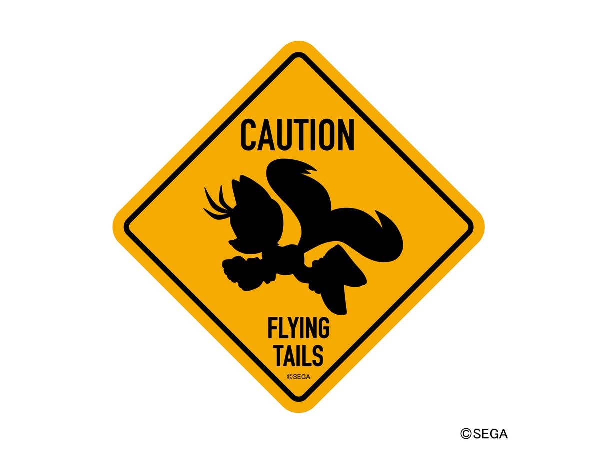 Sonic The Hedgehog: Caution Sticker 5