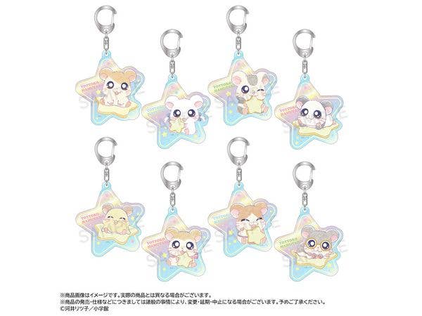 Hamtaro -Twinkle Dreams- Aurora Acrylic Keychain 1 Box 8 Pieces