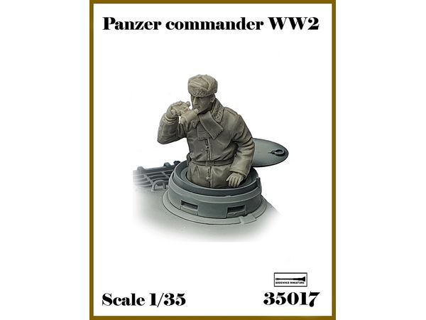 WWII German Soldier #3 Commander inspecting the front (1pcs)