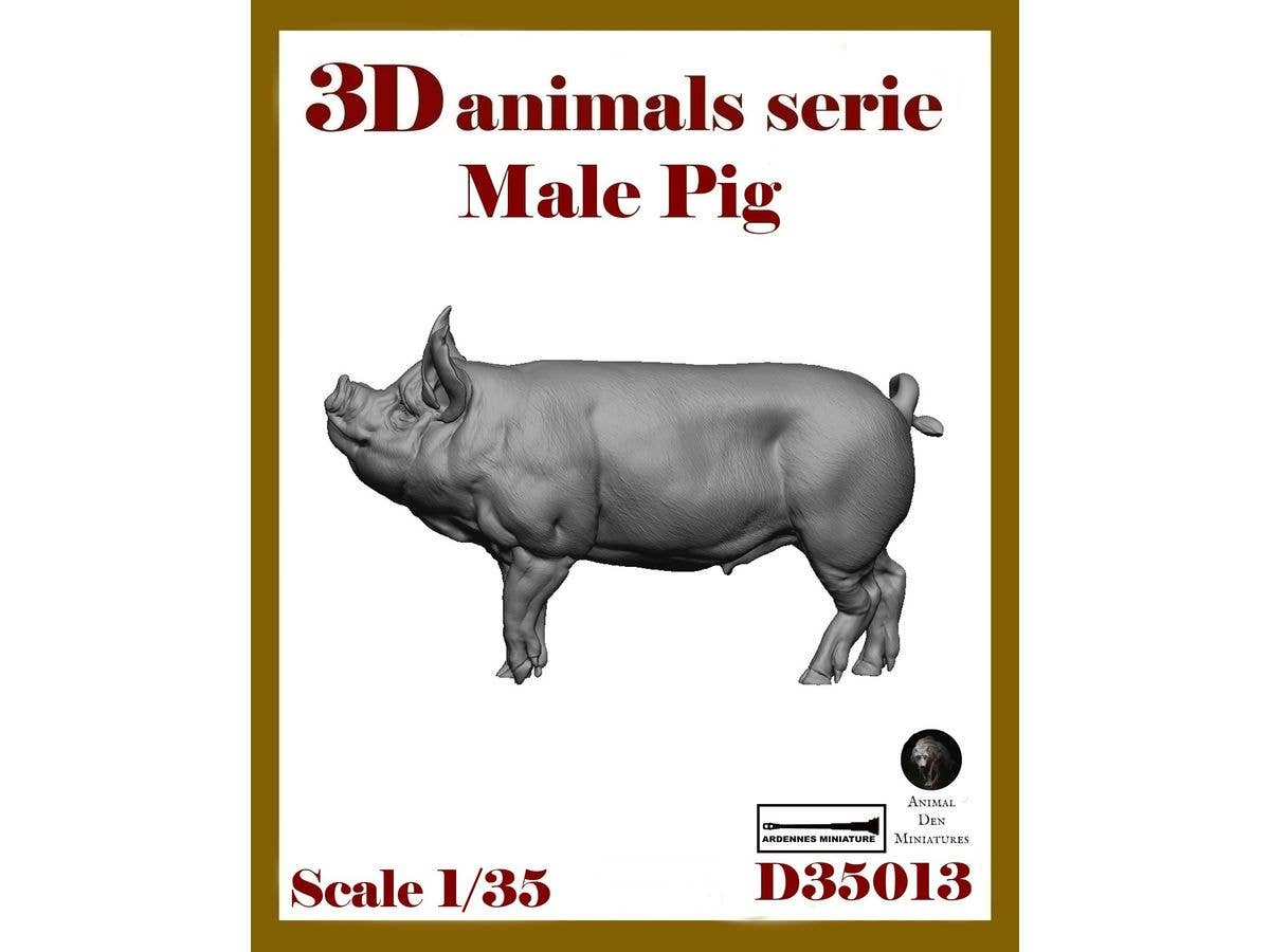 3D Animal Series - MALE PIG