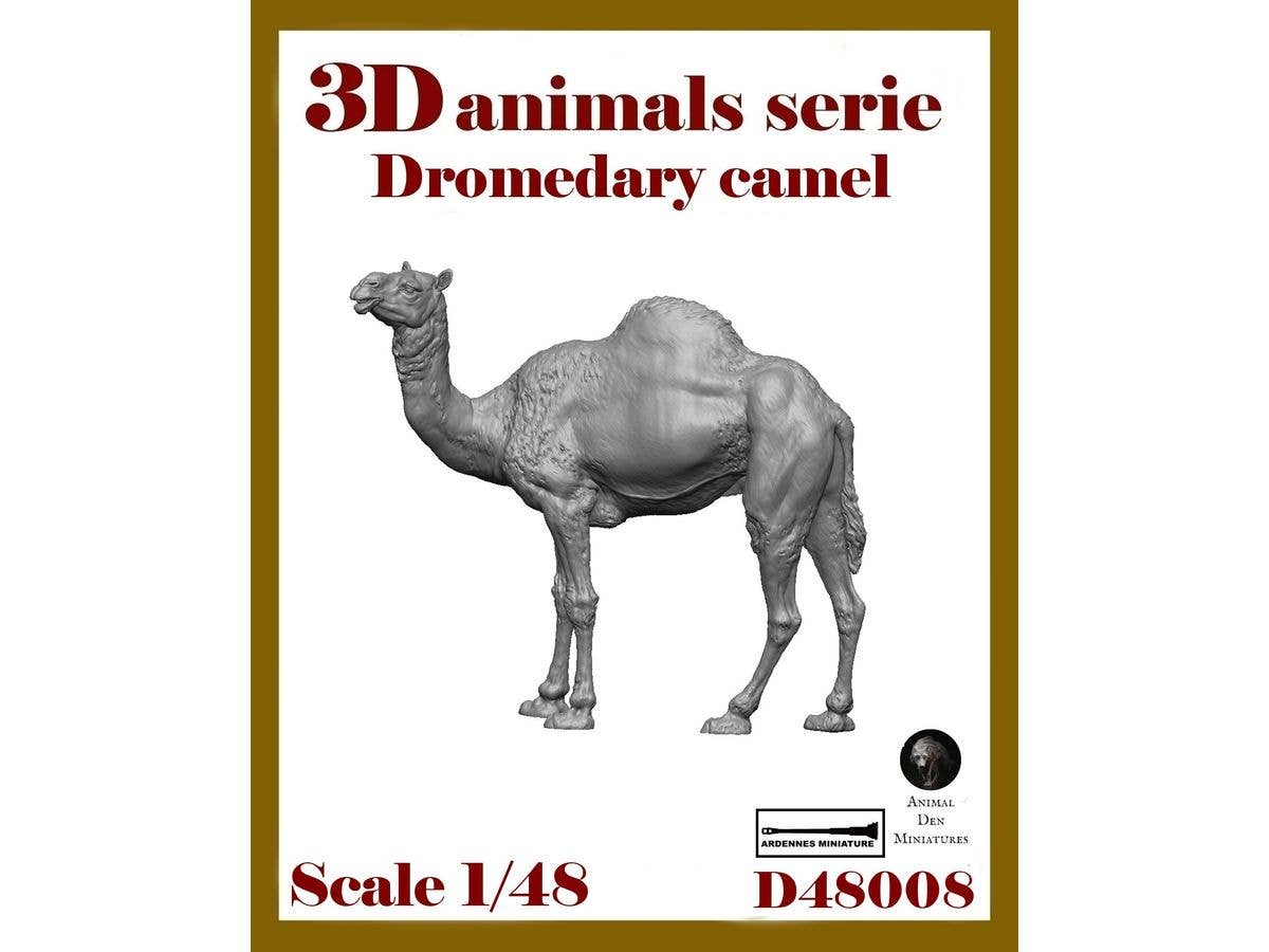 3D Animal Series - DROMEDARY CAMEL