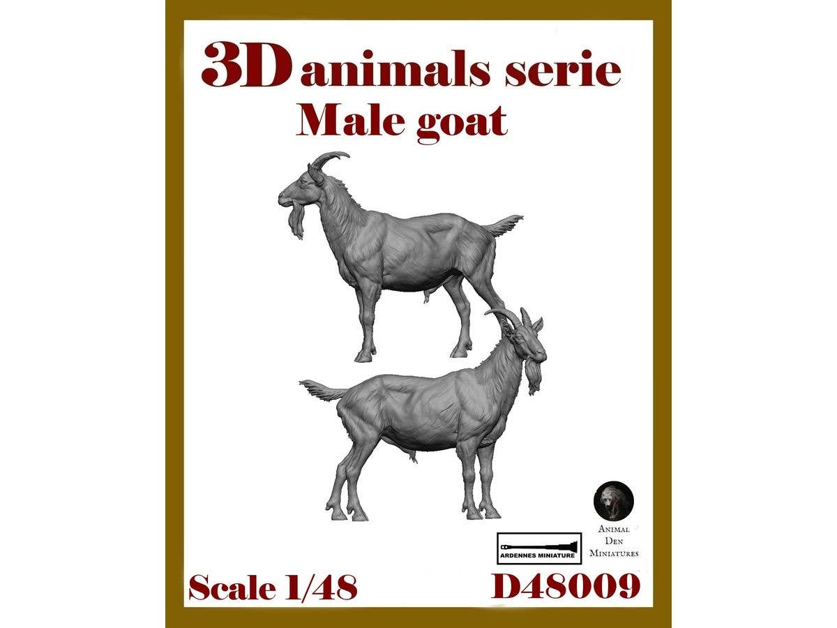 3D Animal Series - MALE GOAT