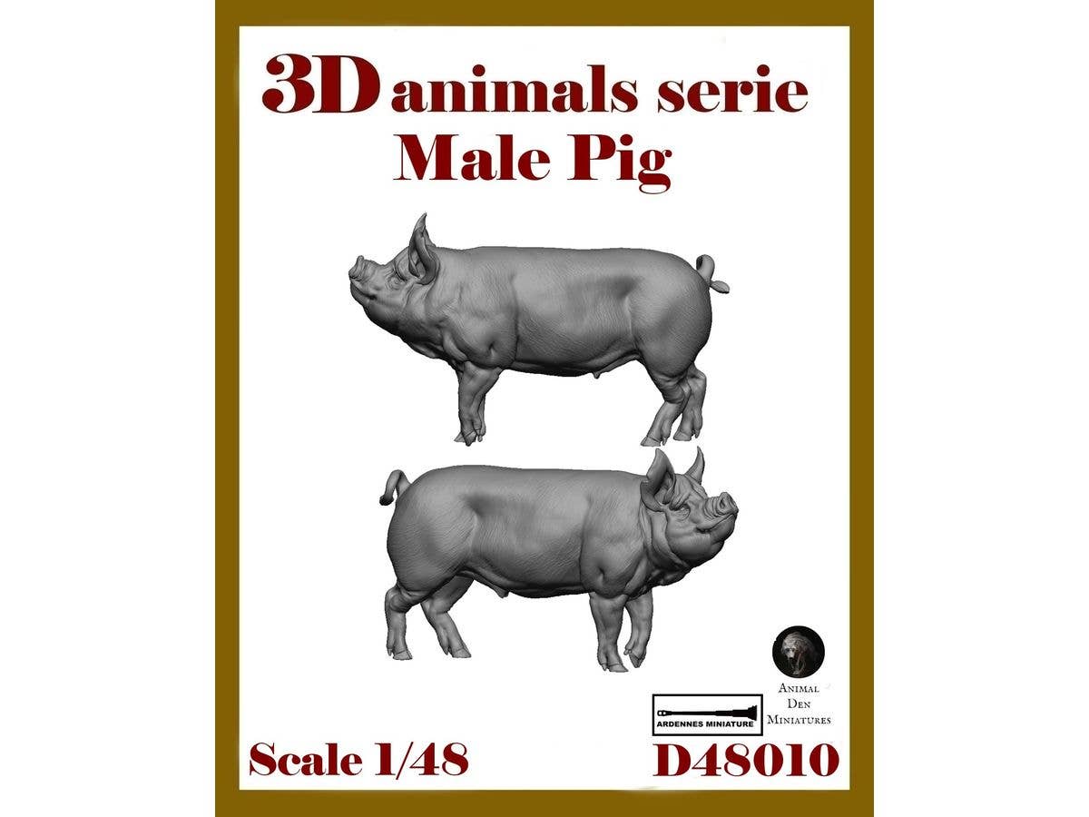 3D Animal Series - MALE PIG
