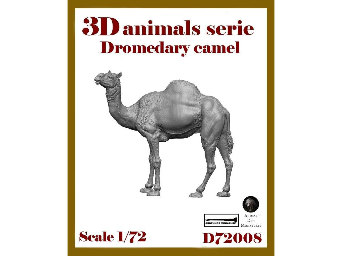 3D Animal Series - Dromedary Camel