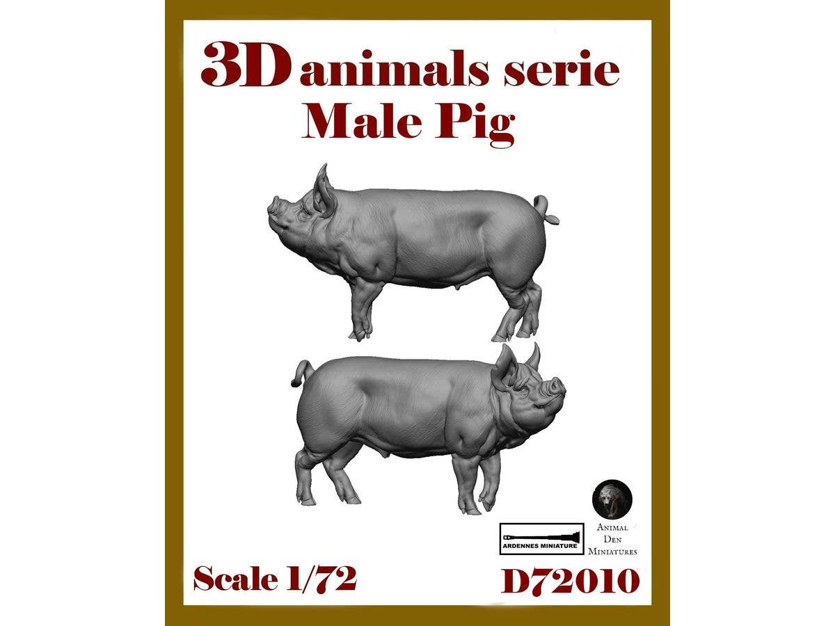 3D Animal Series - Male Pig