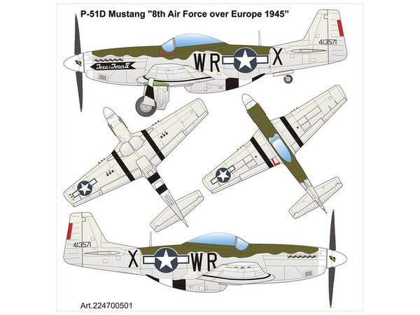 P-51D Mustang Texas-Terror IV 8th USAAF