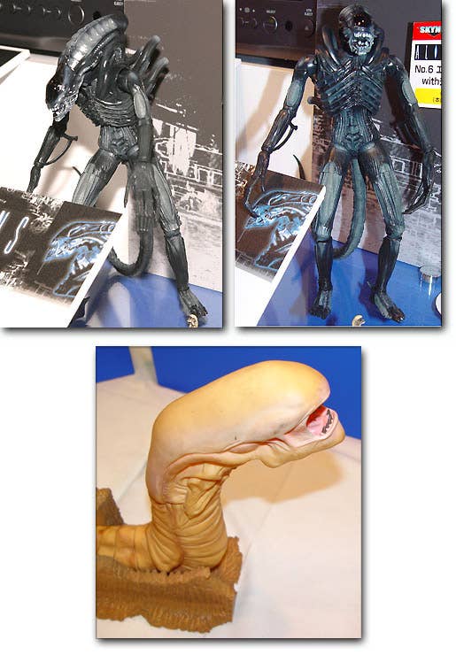 ALIEN 1/1 scale Chestburster アオシマ Alien Warrior w/Chest