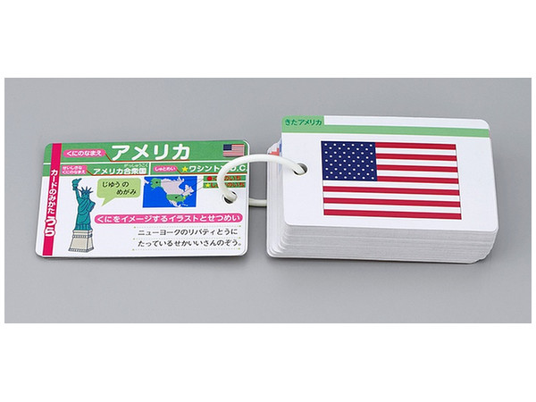 Pocket Picture Card National Flag