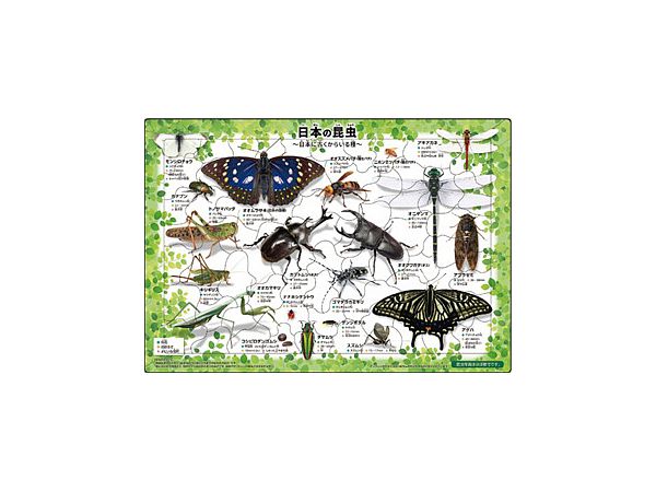Picture Puzzle Japanese Insects 35pcs (375 x 260mm)