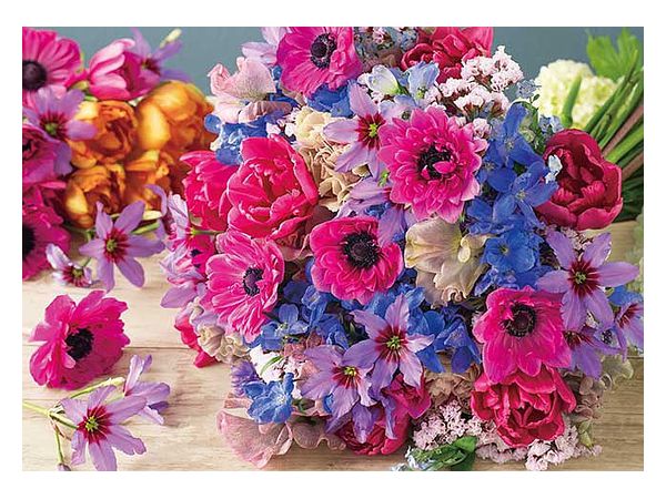 Jigsaw Puzzle: Beautiful Anemone 500P