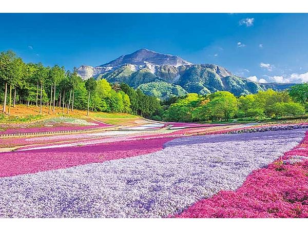 Jigsaw Puzzle: Spring Carpet Hitsujiyama Park 1000P