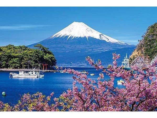Jigsaw Puzzle: Japanese Landscapes Spring Arrives: Mt. Fuji and Kawazu Cherry Blossoms 1000pcs (75 x 50cm)
