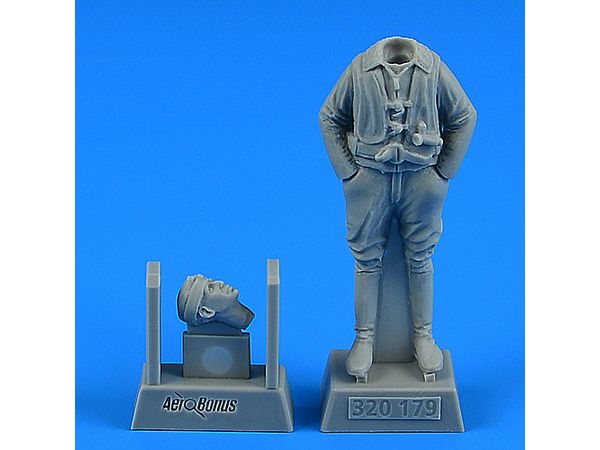 German WWII Luftwaffe Pilot