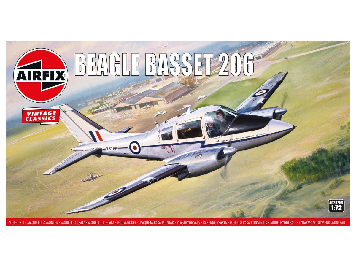 Beagle Basset 206