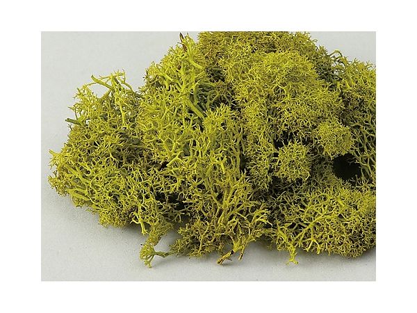 Iceland Moss Spring Green