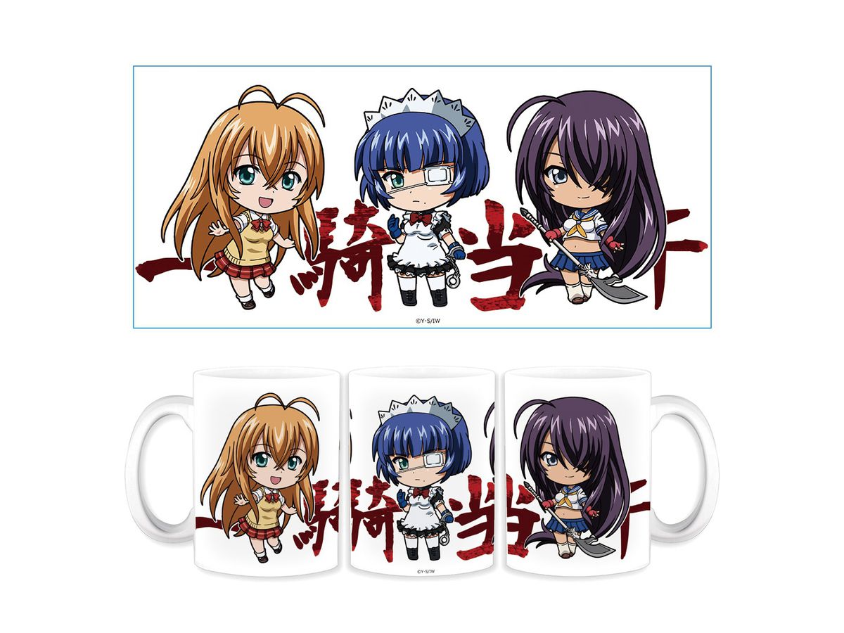 Ikki Tousen: Mug