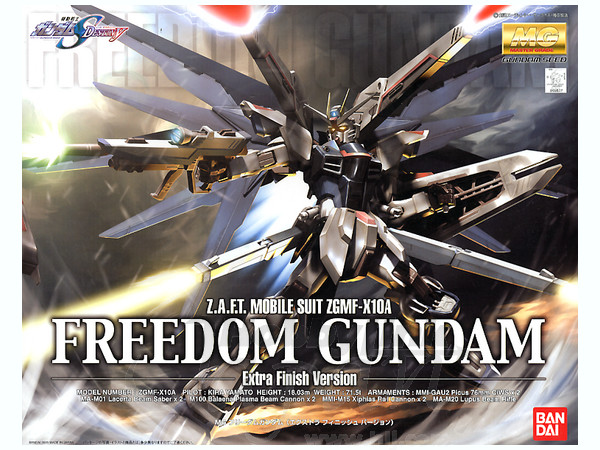 MG Freedom Gundam Extra Finish