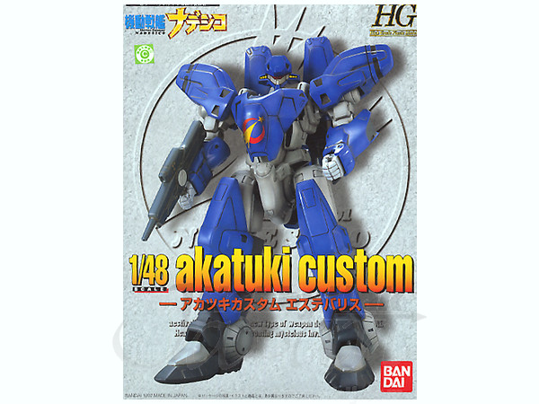 HG Akatuki Custom Aestivalis