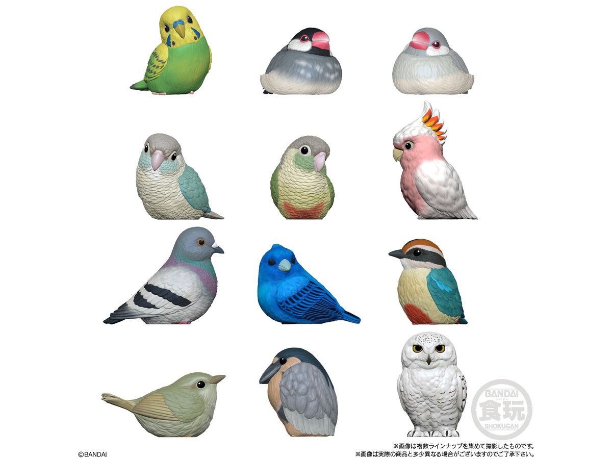 Tenori Friends 10: 1Box (12pcs)