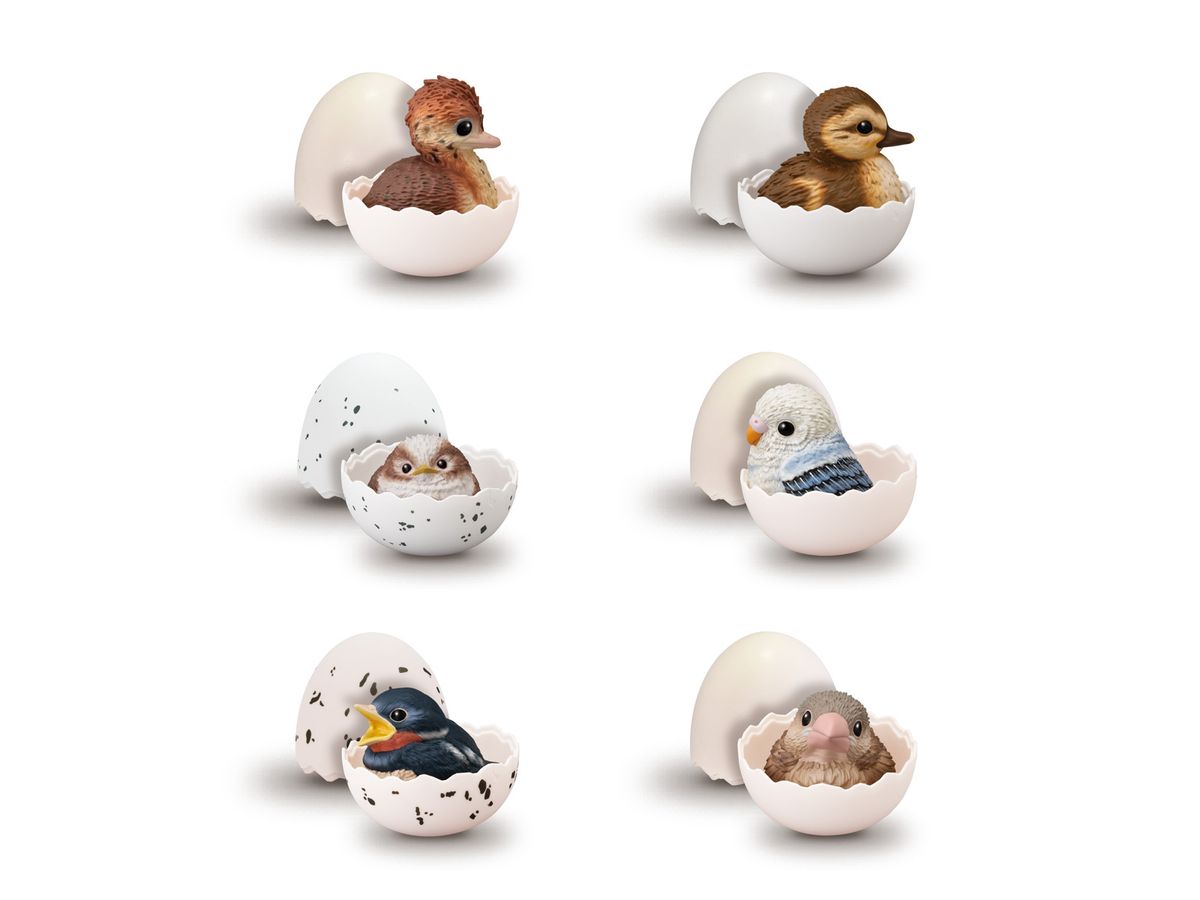Tenori Baby Friends -Bird- 1Box 12pcs