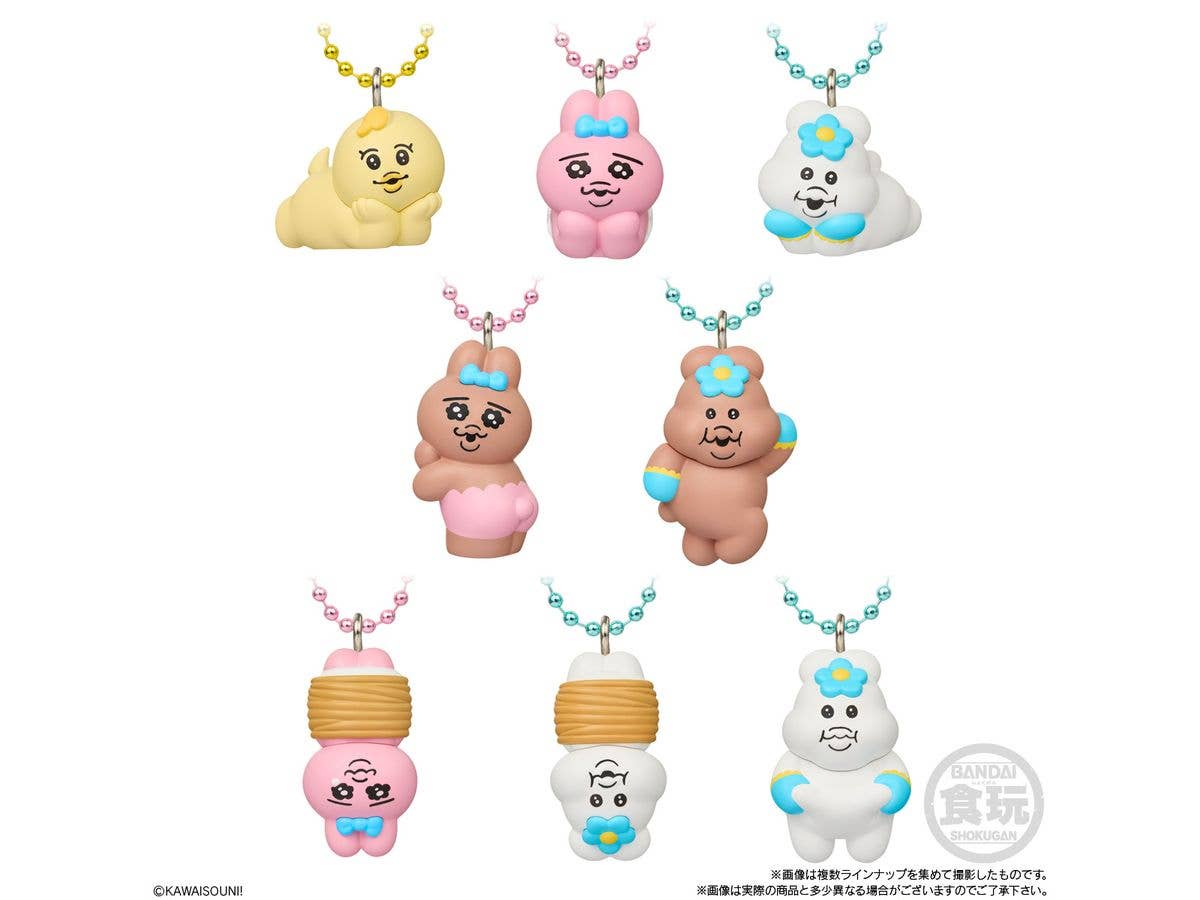 Opanchu Usagi x Npo-Chamu Chocolate Covered Biscuits with Mascot 1Box 10pcs