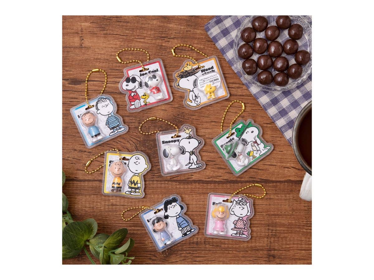 PEANUTS -SNOOPY- Package Charm & Choco Bolo 1Box 10pcs