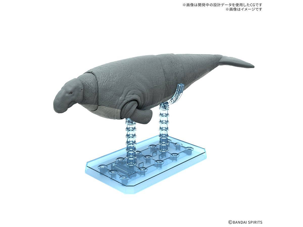 PLANNOSAURUS Hydrodamalis gigas