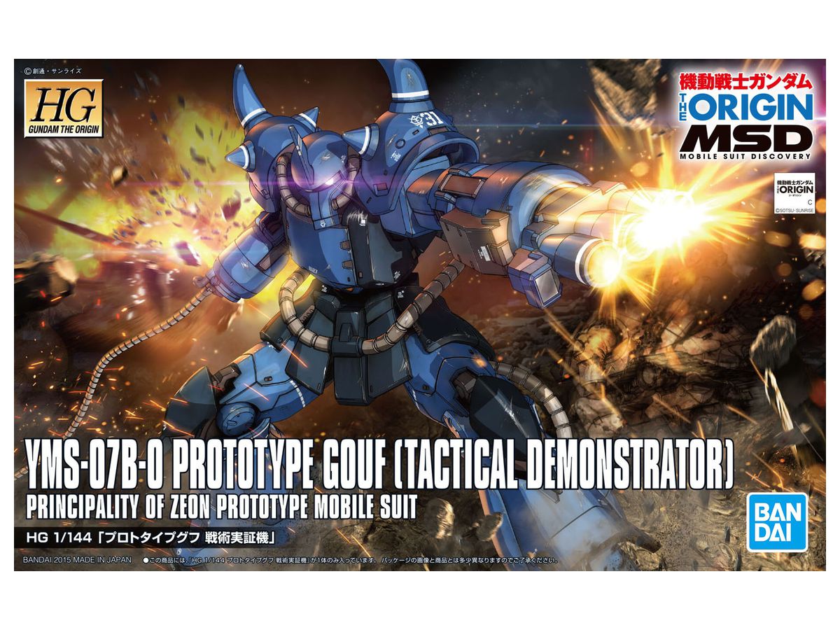 HG Prototype Gouf (Tactical Demonstrator)