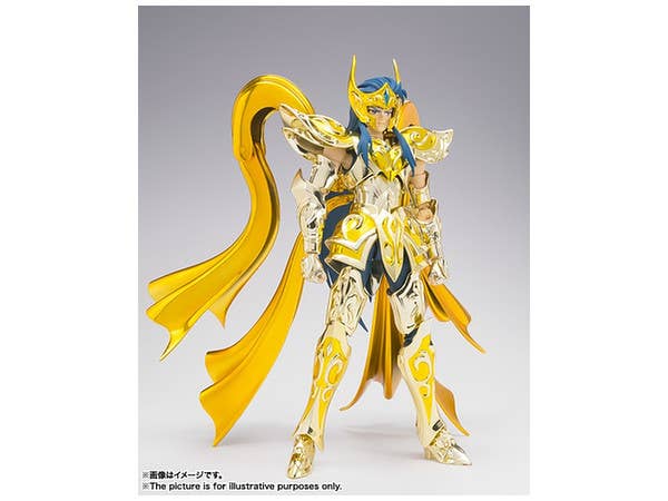Saint Cloth Myth EX Aquarius Camus (God Cloth)