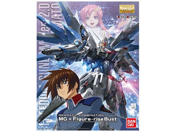 Dramatic Combination: MG 1/100 Freedom Gundam Ver.2.0 & Kira Yamato