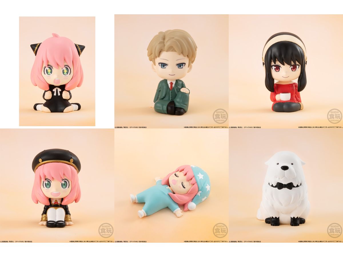 Rela Cot SPY x FAMILY: 1Box (10pcs)
