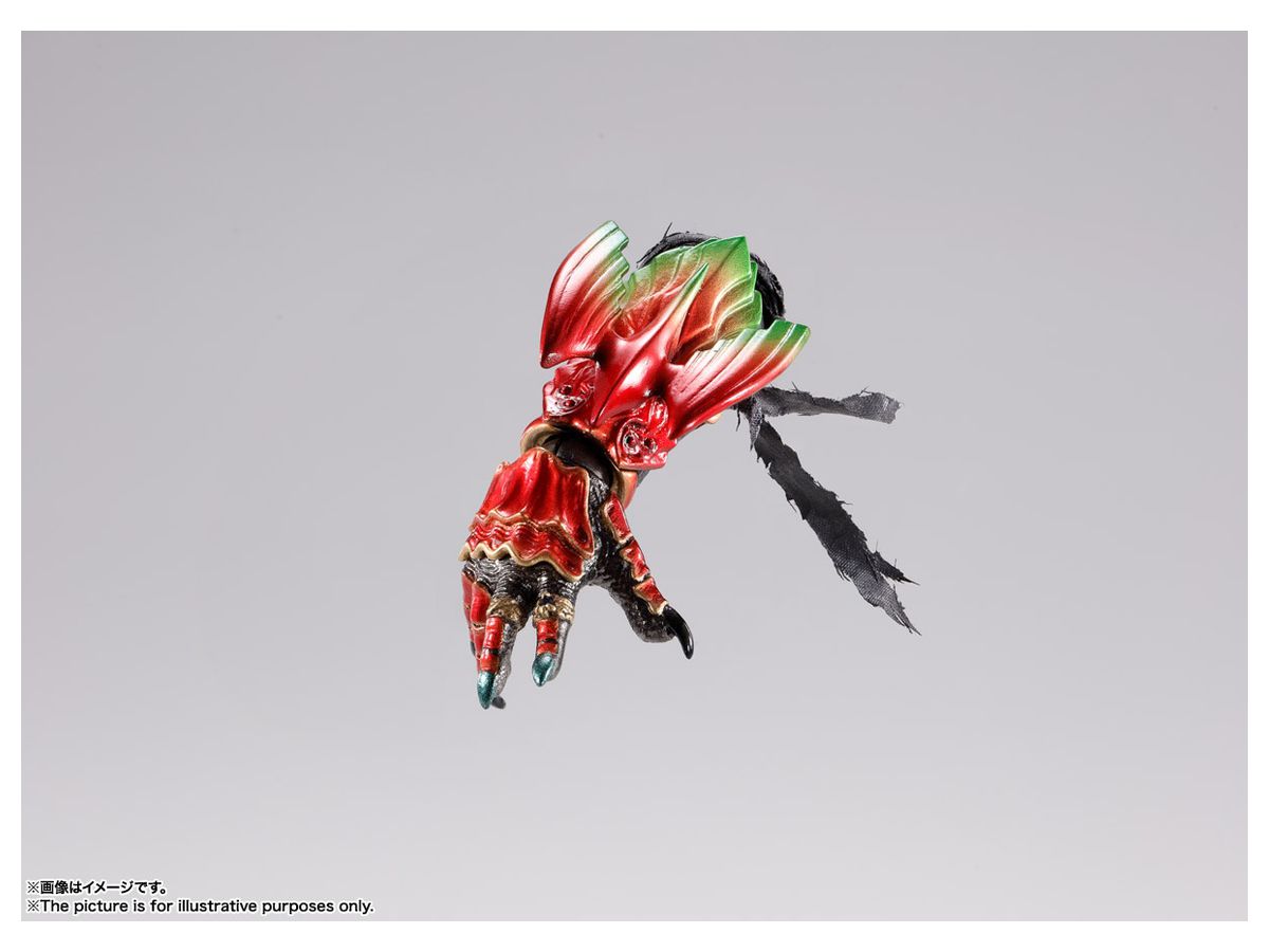 S.H.Figuarts (Shinkocchou Seihou) Ankh