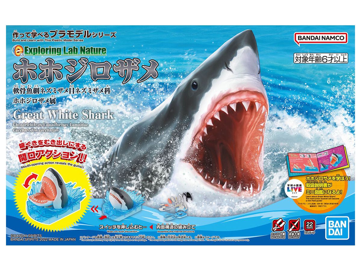 Exploring Lab Nature Carcharodon Carcharias (Great White Shark)