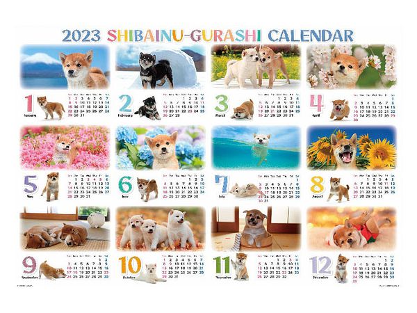 Jigsaw Puzzle: Shiba Inu Gurashi Calendar 2023 1000pcs (72 x 49cm)