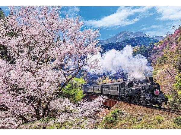Oigawa Railway and Cherry Blossoms 1000pcs (720 x 490mm)