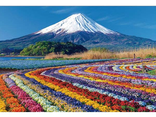 Jigsaw Puzzle Landscapes of Japan: A Floral Carpet with Views of Mount Fuji 1000pcs (72 x 49cm)
