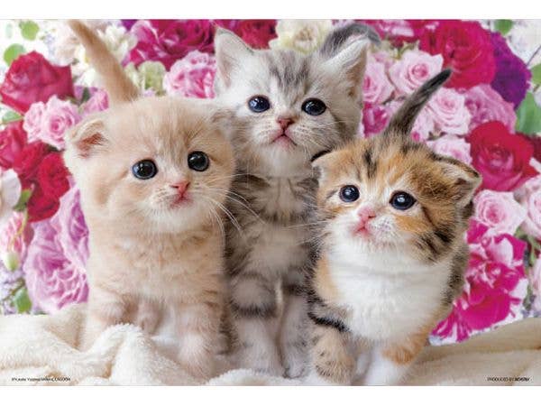 Jigsaw Puzzle Pet: Three Cats That Bring Happiness 300pcs (38 x 26cm)