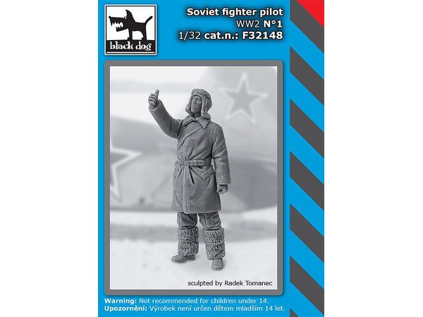 Soviet fighter pilot WW II No.1
