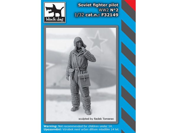 Soviet fighter pilot WW II No.2