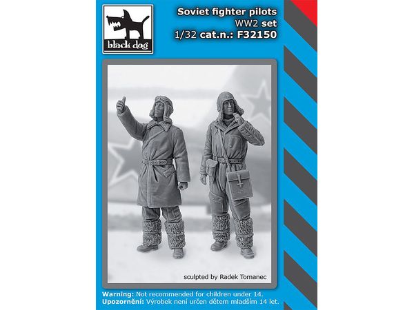 Soviet fighter pilots WW II set