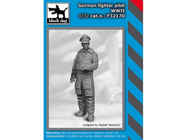 German fighter pilot  WW II