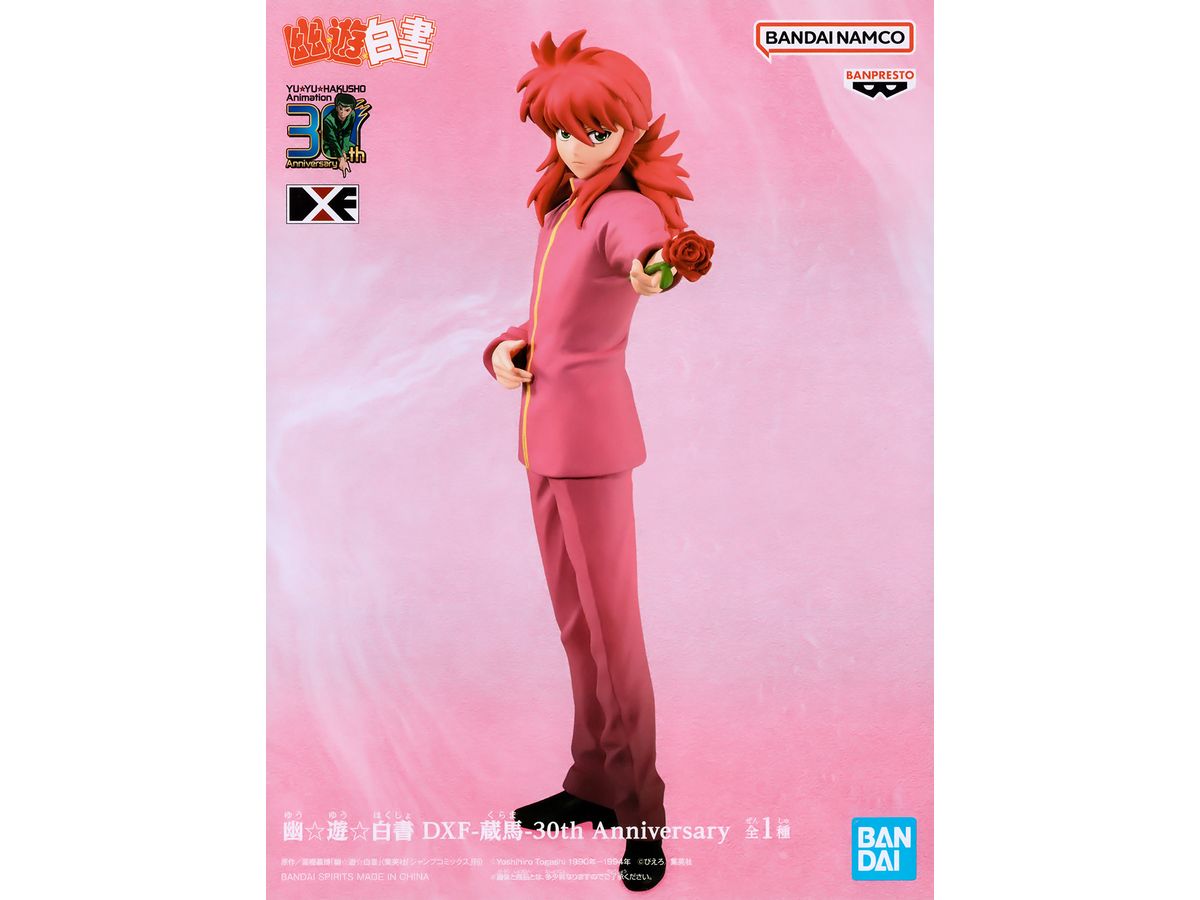 Yu Yu Hakusho DXF Kurama 30th Anniversary