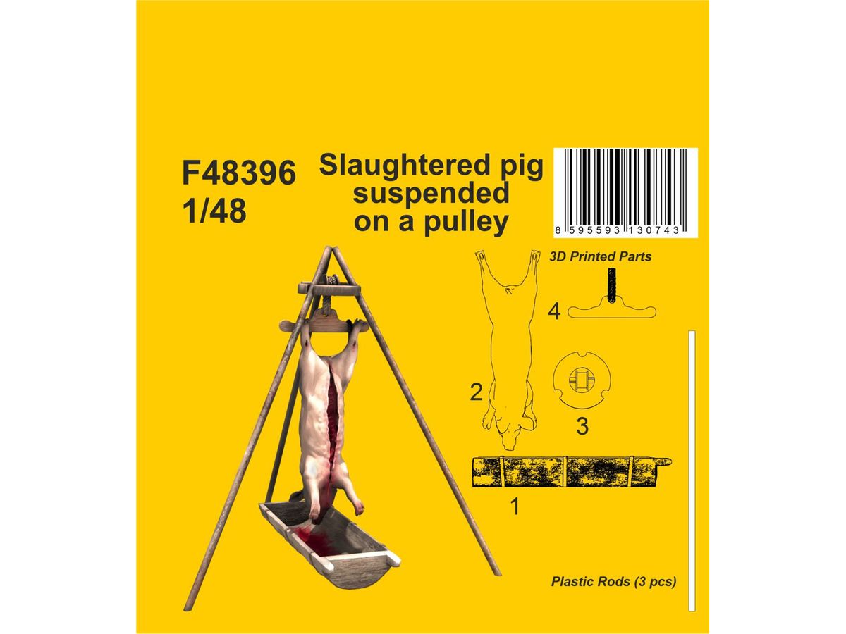 Slaughtered pig suspended on a pulley