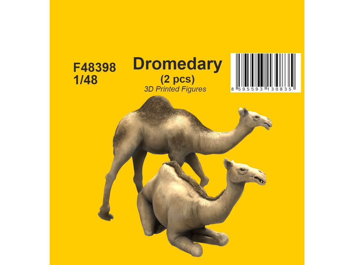 Dromedary (2 pcs)