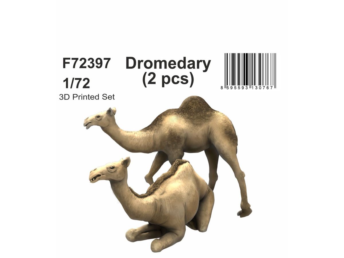 Dromedary (2 pcs)